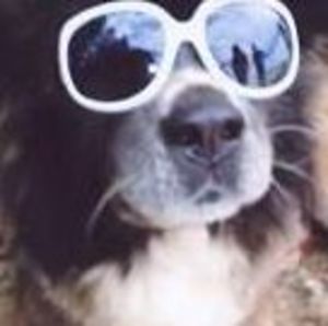 Meet your Posher, Lorrie